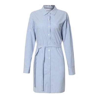 Blue Striped Casual Dress for Women